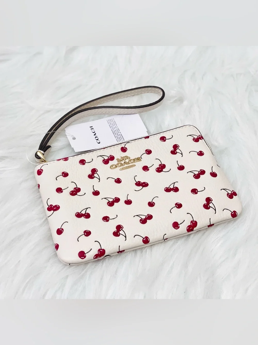 Coach corner zip
